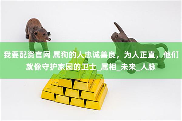 我要配资官网 属狗的人忠诚善良，为人正直，他们就像守护家园的卫士_属相_未来_人脉
