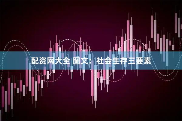 配资网大全 图文：社会生存三要素