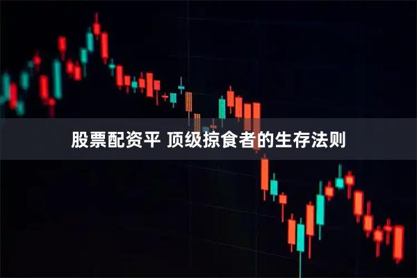 股票配资平 顶级掠食者的生存法则